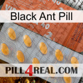 Black Ant Pill 43